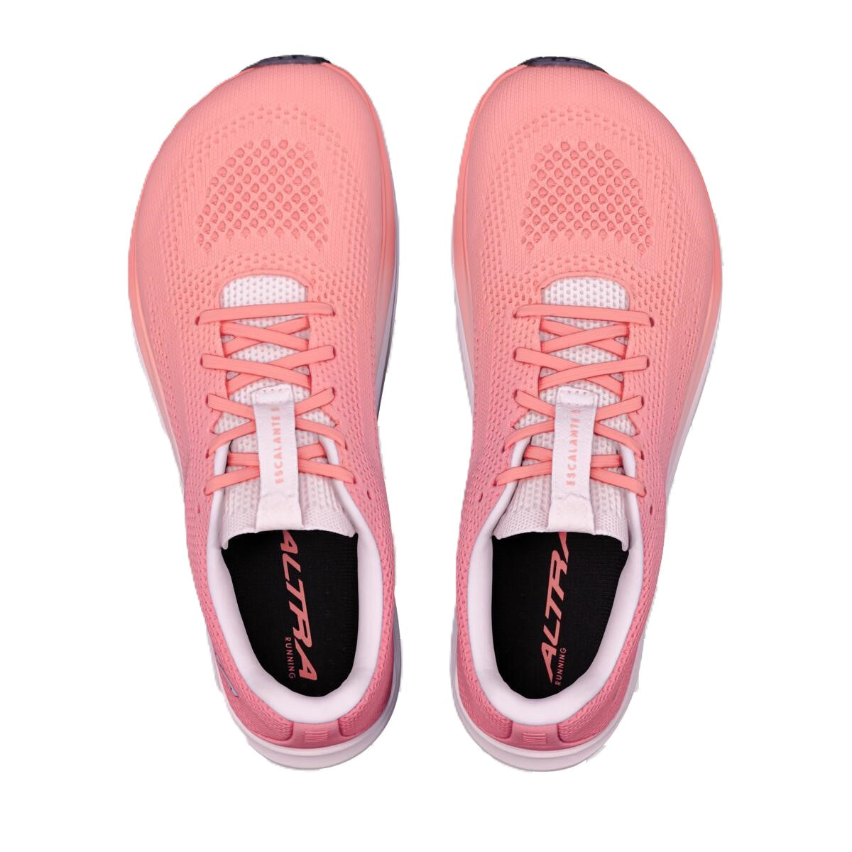 Women's Escalante 5