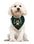 Outdoor Adventures Dog Bandana Large - Explore
