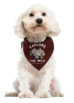Outdoor Adventures Dog Bandana Large