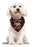 Outdoor Adventures Dog Bandana Large