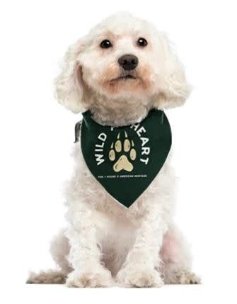 Outdoor Adventures Dog Bandana Large