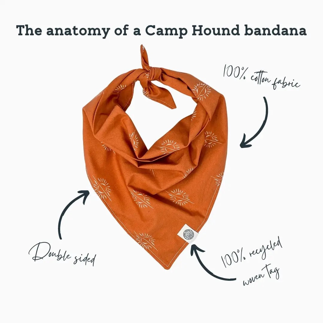 Dog Bandana