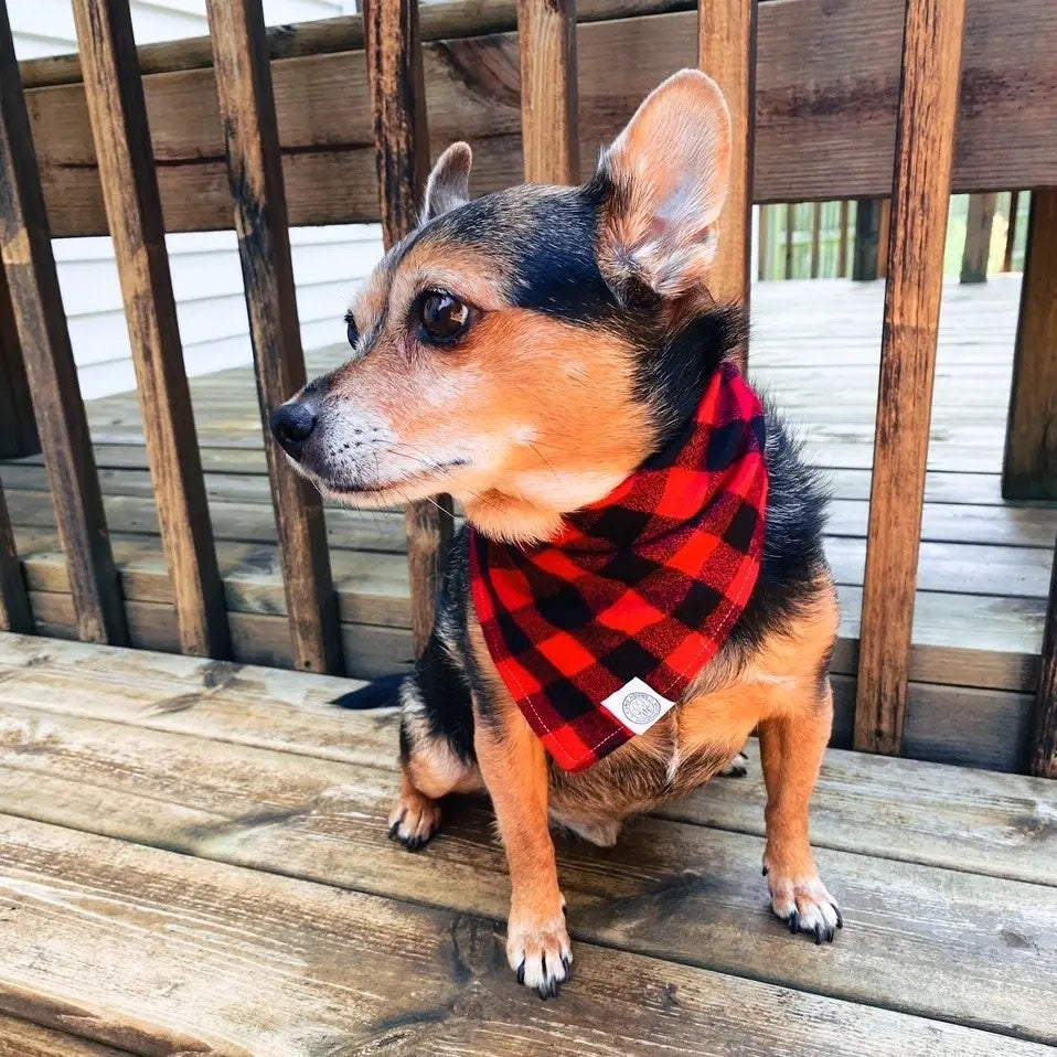 Dog Bandana