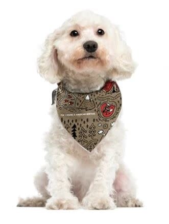 Outdoor Adventures Dog Bandana Small Camping