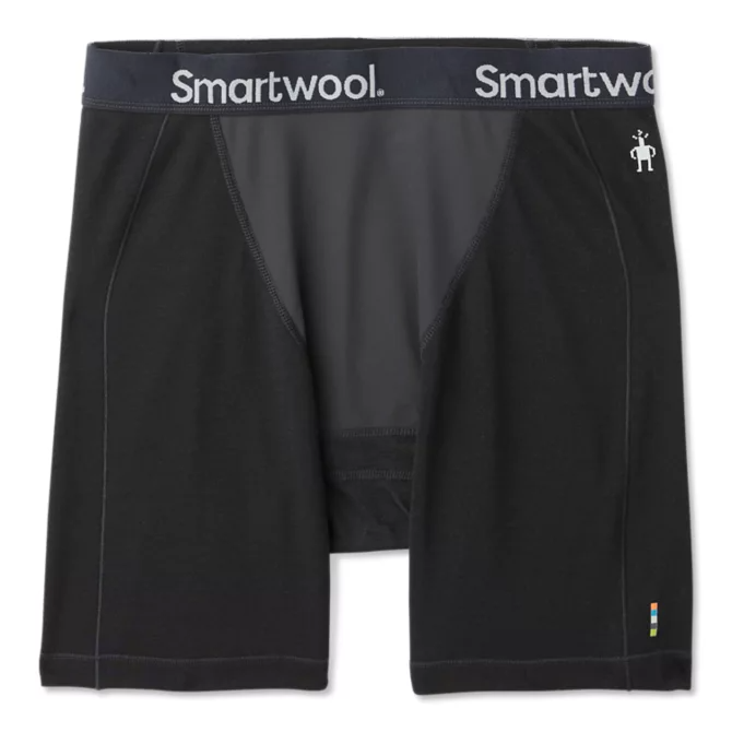 Men's Merino Sport 250 Wind Boxer Brief