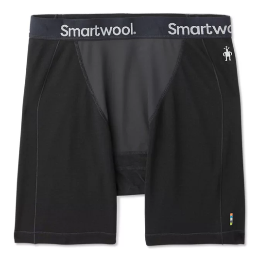 Men's Merino Sport 250 Wind Boxer Brief
