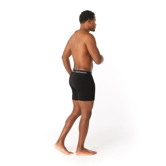 Men's Merino Sport 250 Wind Boxer Brief