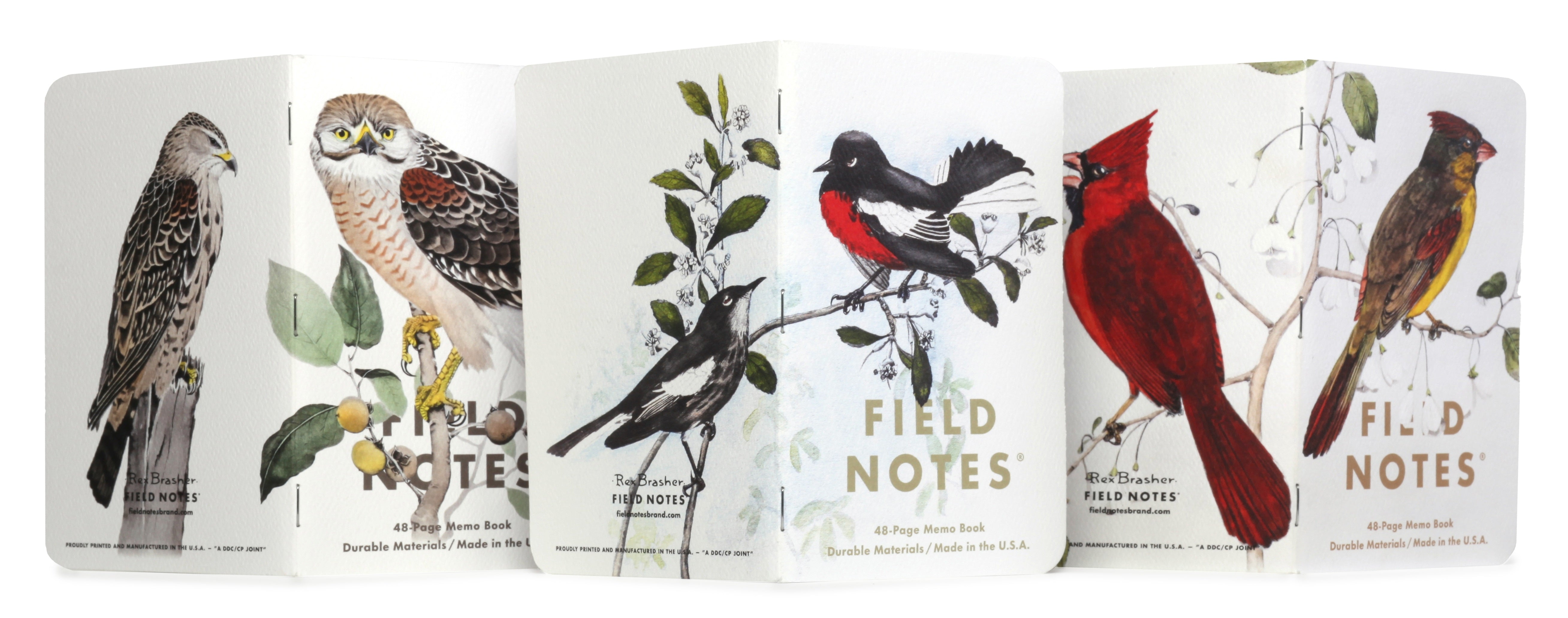 Field Notes Birds & Trees of North America