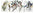 Field Notes Birds & Trees of North America Pack A
