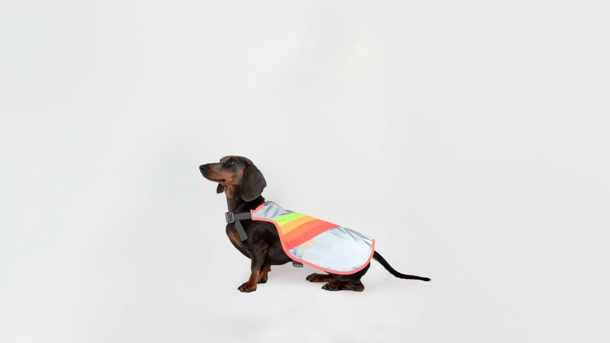 Luna Reflective Dog Vest - Large