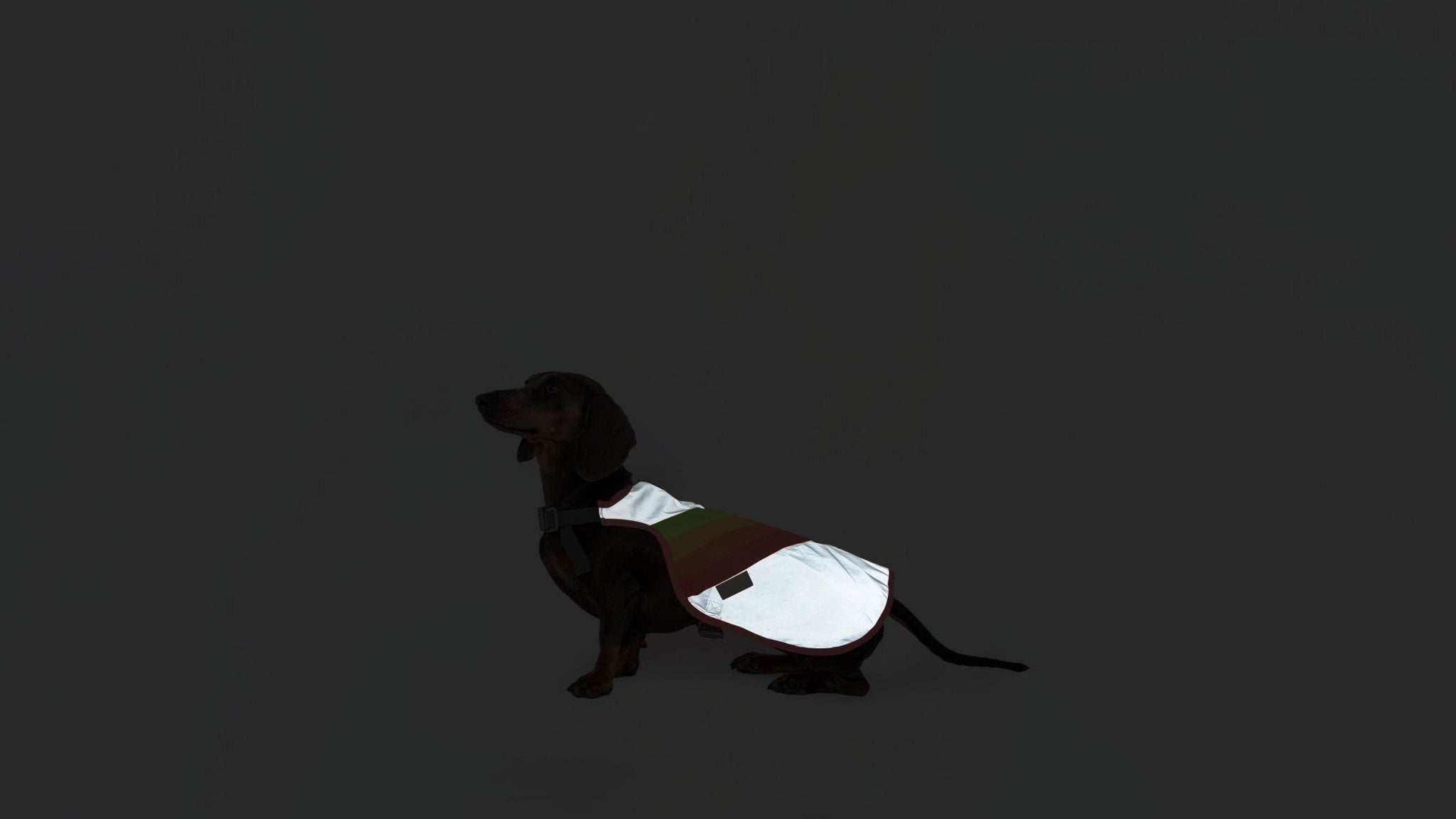 Luna Reflective Dog Vest - Large