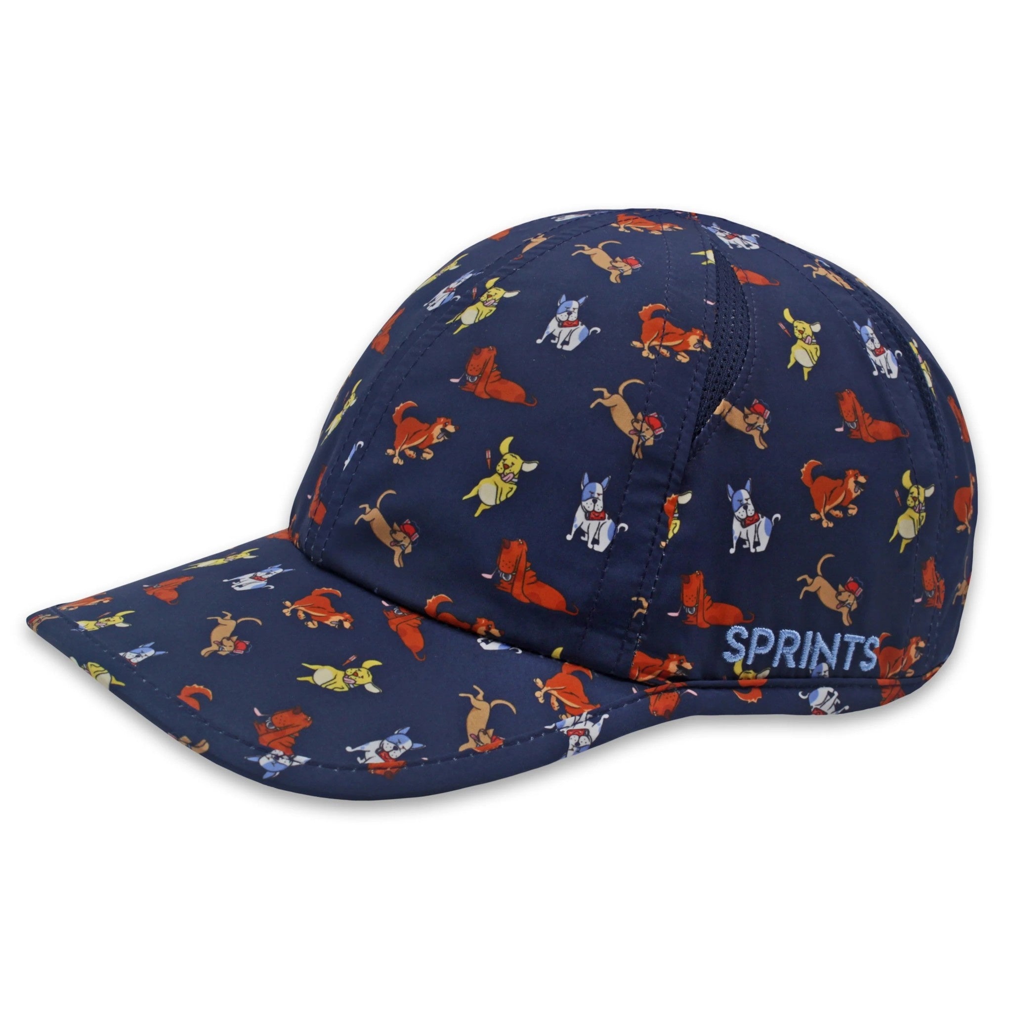 OG Hat - Turtles Training
