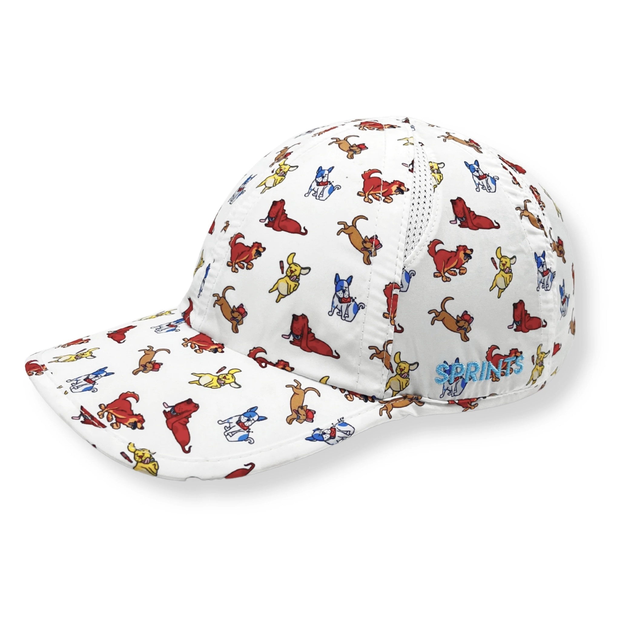 OG Hat - Turtles Training