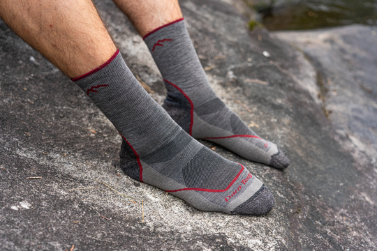 Darn Tough Men's Light Hiker Micro Crew Lightweight with Cushion