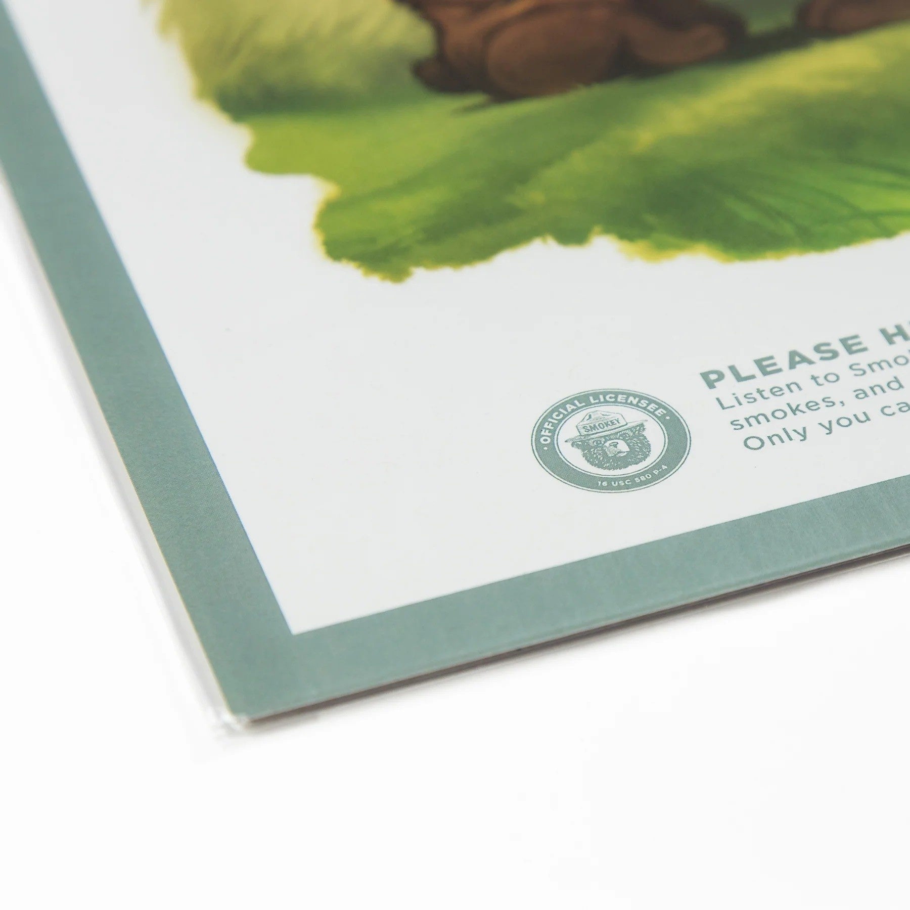 Prevent Wildfires Poster 18x24