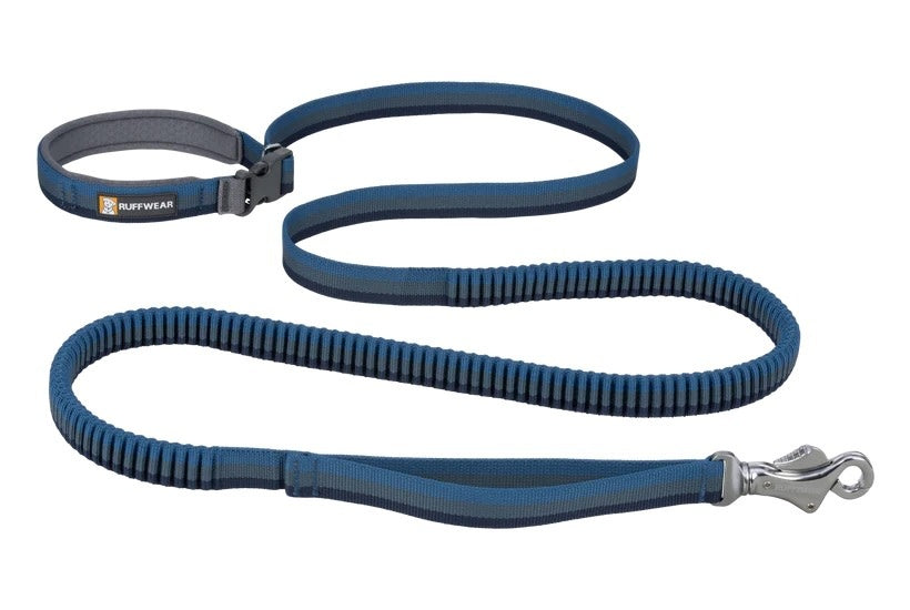 Roamer Leash