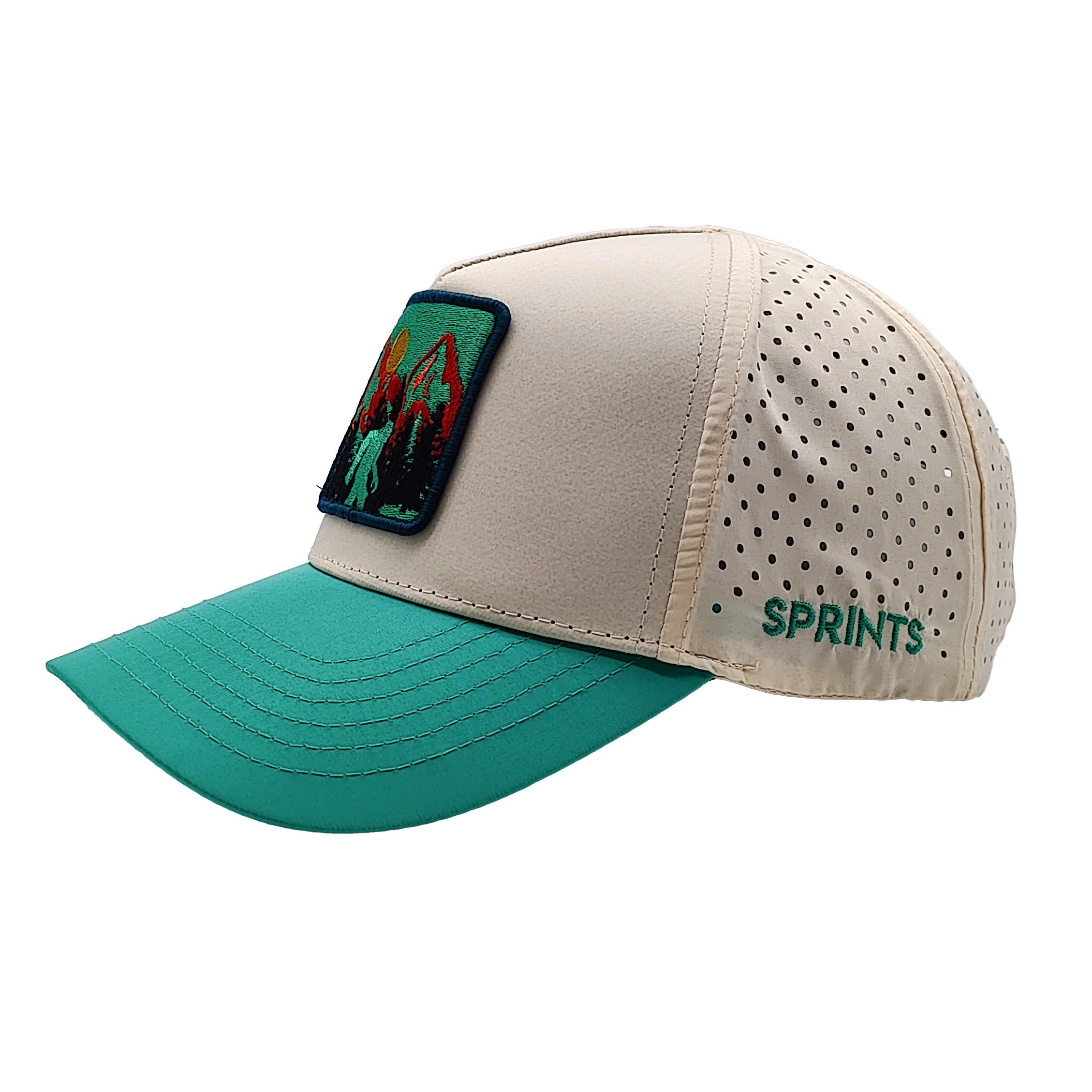 VP Hat