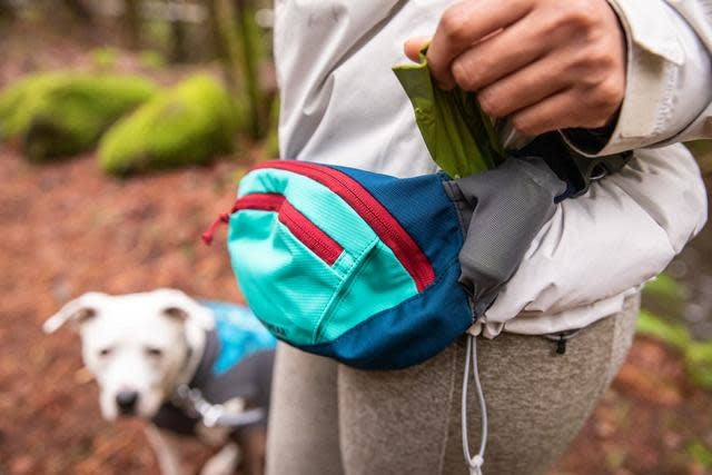 Home Trail Hip Pack