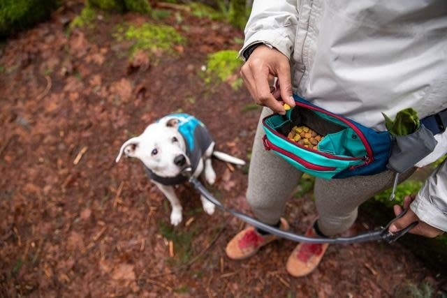 Home Trail Hip Pack