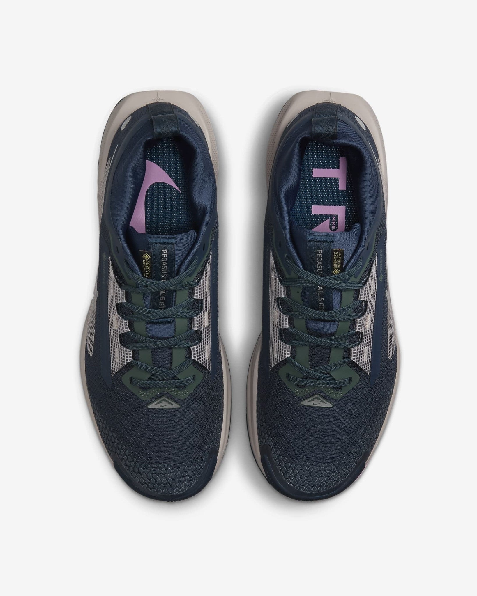 Women's Pegasus Trail 5 GTX